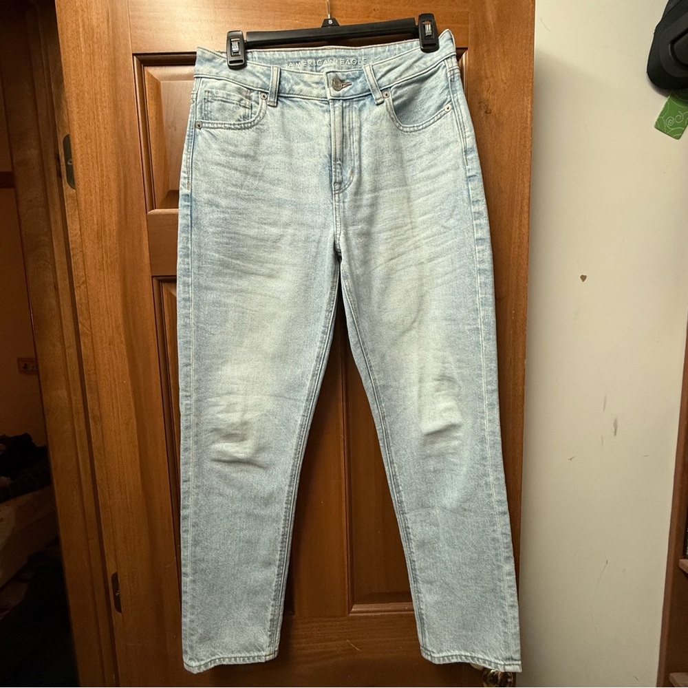 American Eagle Outfitters Strigid Mom Jeans